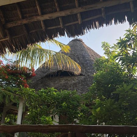 Pasa Lodge Zanzibar Nungwi Exteriér fotografie