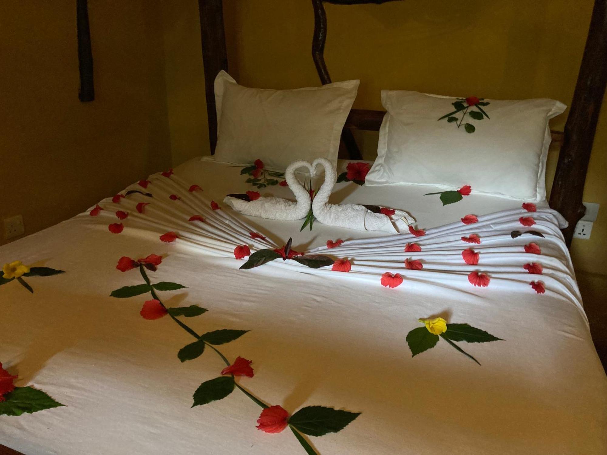 Pasa Lodge Zanzibar Nungwi Pokoj fotografie
