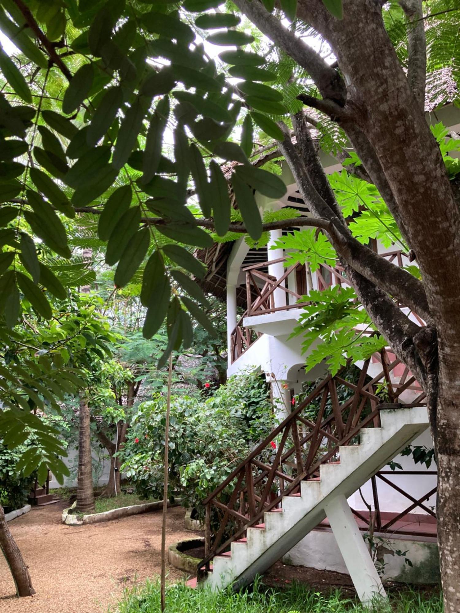 Pasa Lodge Zanzibar Nungwi Exteriér fotografie