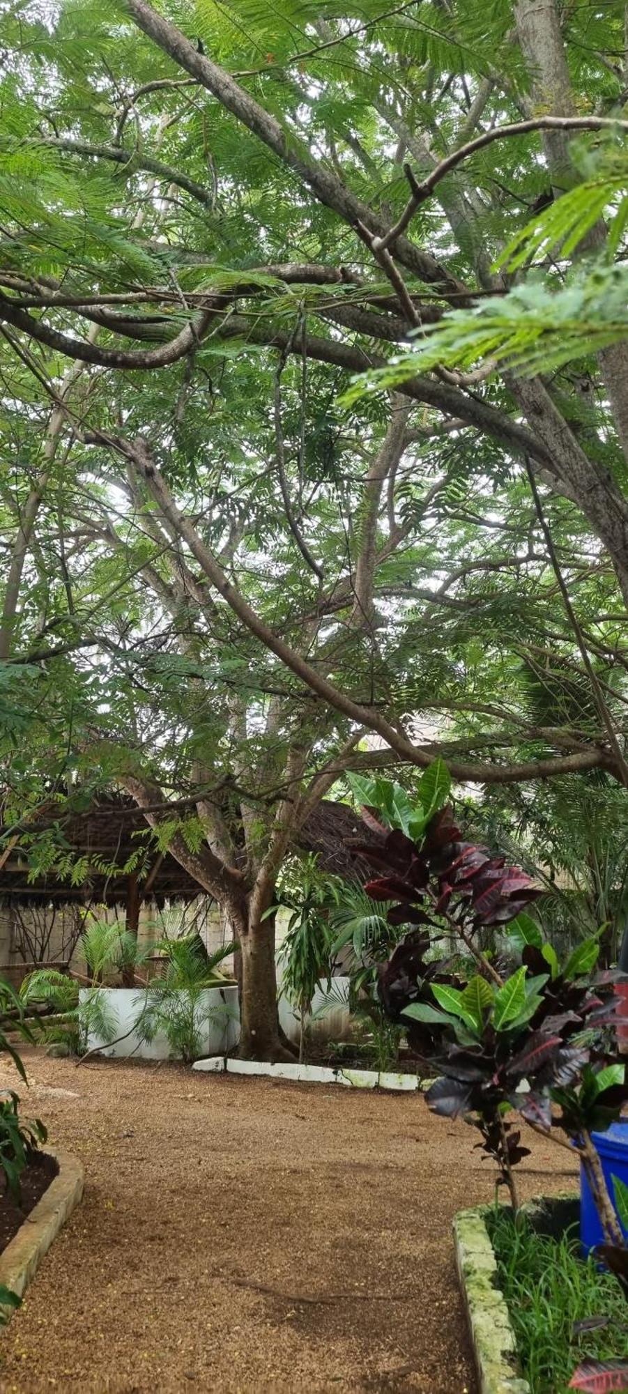 Pasa Lodge Zanzibar Nungwi Exteriér fotografie